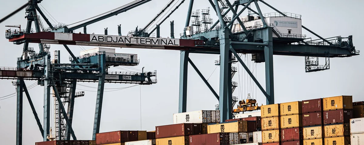 Porte-conteneurs sous des grues dans un terminal portuaire